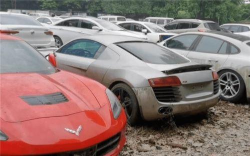 最新玛莎爆料视频大全,揭秘娱乐圈幕后真相